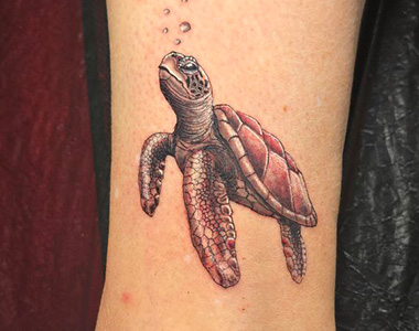 Kleine Schildkröte Tattoo by  Micha