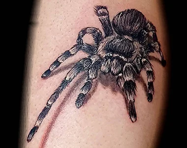 Tattoo von Micha – Arbeit 39