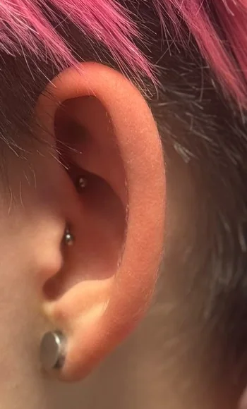 Ohrpiercing im Detail bei pinkfarbenem Haar – Mahdis Piercing-Galerie, Gestochen Scharf Brandenburg
