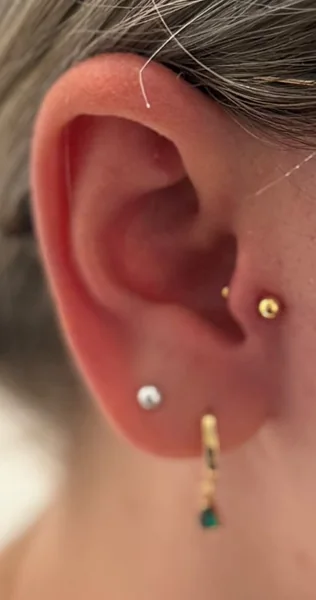Ohrpiercings mit kleinen Steckern und Anhänger – Mahdis Piercing-Galerie, Gestochen Scharf Brandenburg