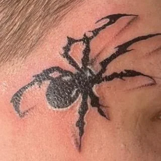 Spinnen-Tattoo im Detail – Tattoo von Mahdi bei Gestochen Scharf