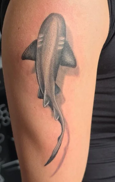 Hai-Tattoo in Black and Grey – Tattoo von Micha bei Gestochen Scharf